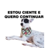 CatiPanda1 12