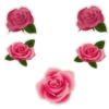 Parabéns 12 5