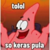 Petrik 27
