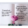 Bom dia,boa tarde e boa noite 9