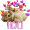 HOLI