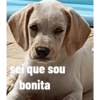 Que 6