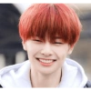 Jeongin 9