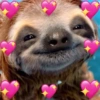 Cantadas pro crush 8