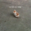 no talk me i angy