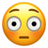 O
O