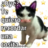 🐱🐾Mishis Para Tu Crush II💘😻  6