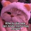 Gatitos Shitposting 2 5