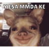 Y ESA MMDA KE