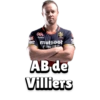 RCB (Bangalore) (IPL) 2