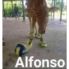 Tu nombre Bebé😎😳👍🏻  14