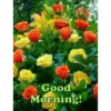 Good
Morning!
