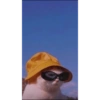 Anime And Cats 16