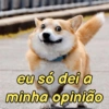 Pets, memes e reações 🐶 14