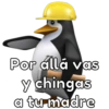 💢🐧Pingüinos Shitpost II🐧💢 6