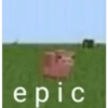 epic