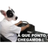 CatiPanda1 9