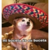 Flerte pesado foda-se 8