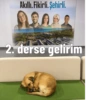 No context Şehir Üniversite 8