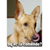 oq vc tá comendo?
