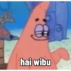 Patrick 5