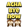 ACHA
BYE
now