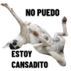 CatiPanda1 27