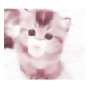 Animales 18