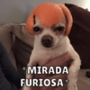 Animales enojados😡🤬 15
