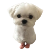 MEMES RANDOM #02 8