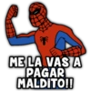 ME LA VAS A PAGAR MALDITO!!