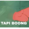 TAPI BOONG