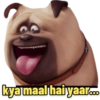 Secret Life of Pets 6
