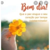 Bom dia 🖤🤬🖤🤬❤🤢❤ 16