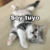 Soy tuyo @Harley_ Stickers