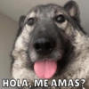 HOLA, ME AMAS?