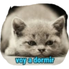 Gatito 9