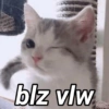 blz vlw