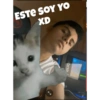 Mis Stikers 7