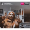 Nolose4 7