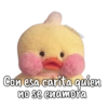 Memes peluches  8
