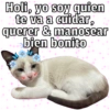🐱🐾Mishis Para Tu Crush II💘😻  5
