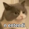 n entendi