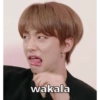Stray kids 5