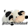 Memes peluches  5