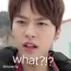 Stray kids 14