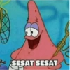 SESAT SESAT
FE