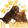 &
TE QUIERO