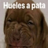 Hueles a pata