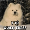 @Giseelove_Stickers
Y TÚ
QUIEN ÉRES?